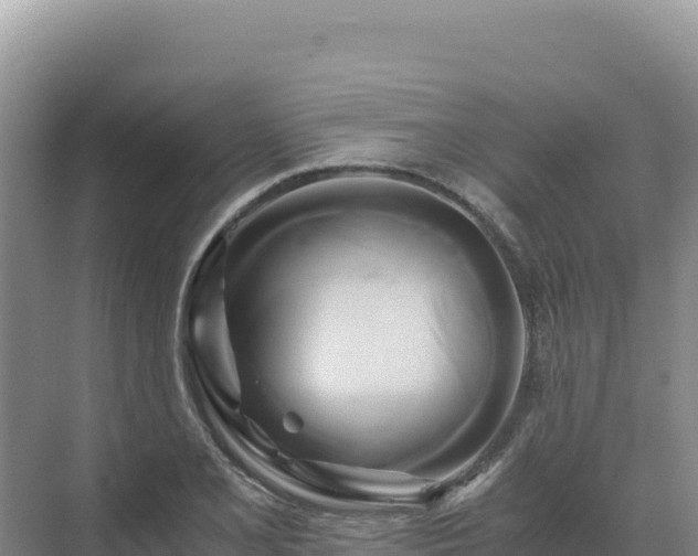 X0000071381077200606301804