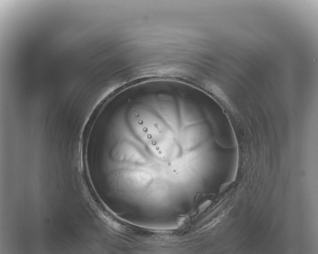 X0000071381079200606301804