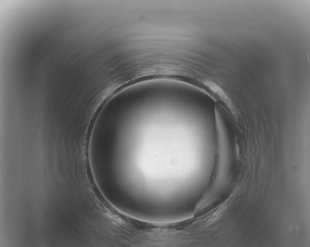 X0000071381081200606301804