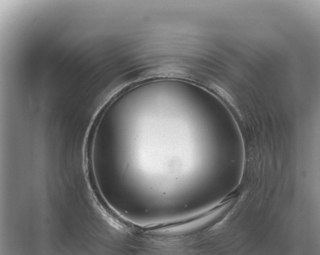 X0000071381082200606301804