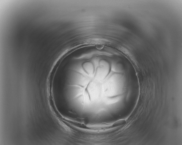 X0000071381083200606301803