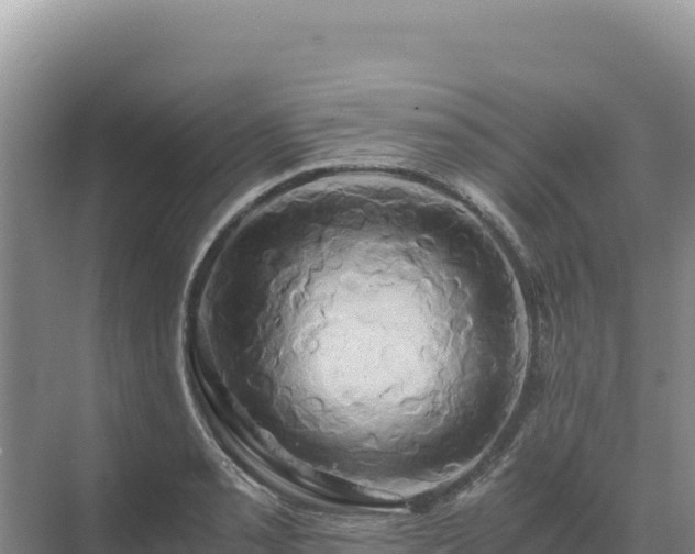 X0000071381085200606301803