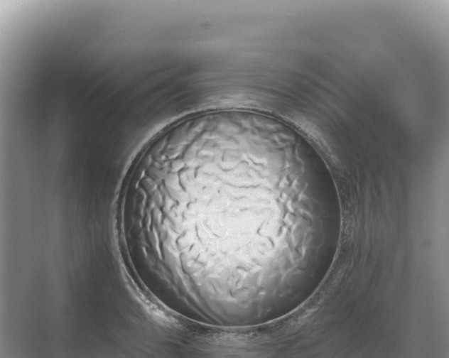 X0000071381086200606301803