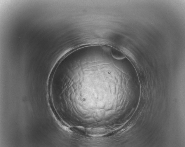 X0000071381087200606301803