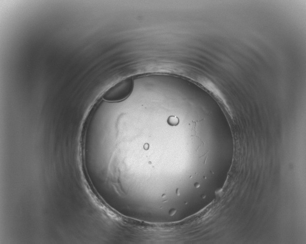 X0000071381088200606301803