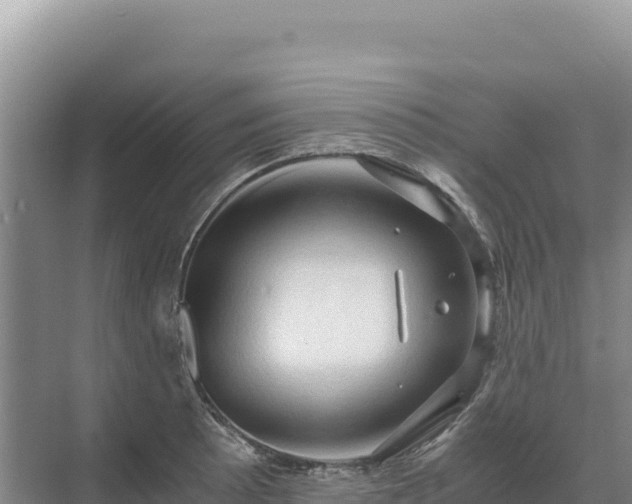 X0000071381089200606301803