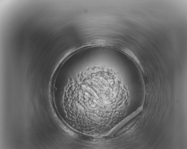 X0000071381091200606301803