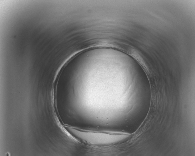 X0000071381092200606301803