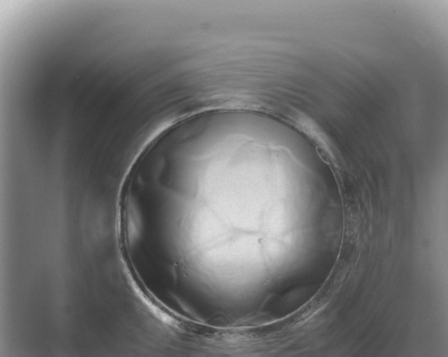 X0000071381095200606301803