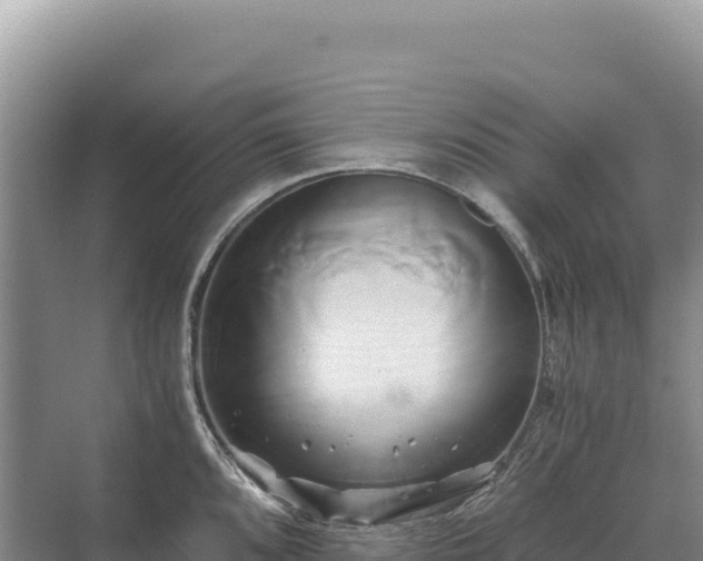 X0000071381096200606301803