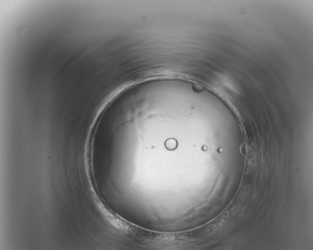 X0000071381098200606301803