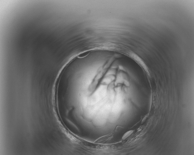 X0000071381099200606301803