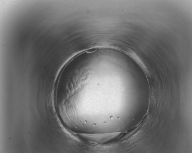 X0000071381100200606301803