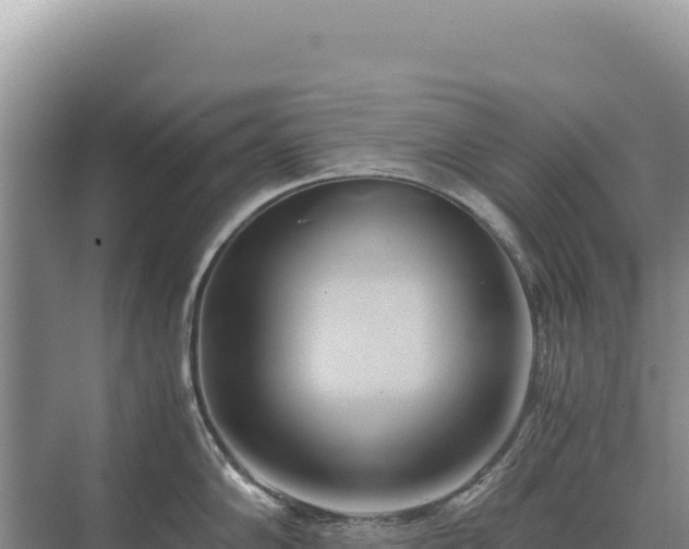 X0000071381102200606301803