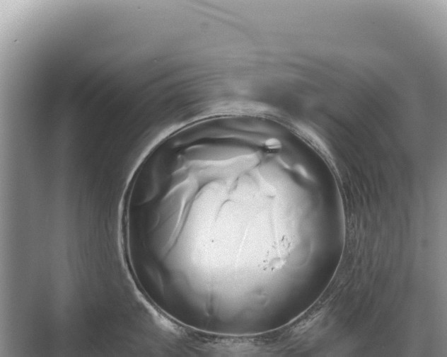 X0000071381103200606301803