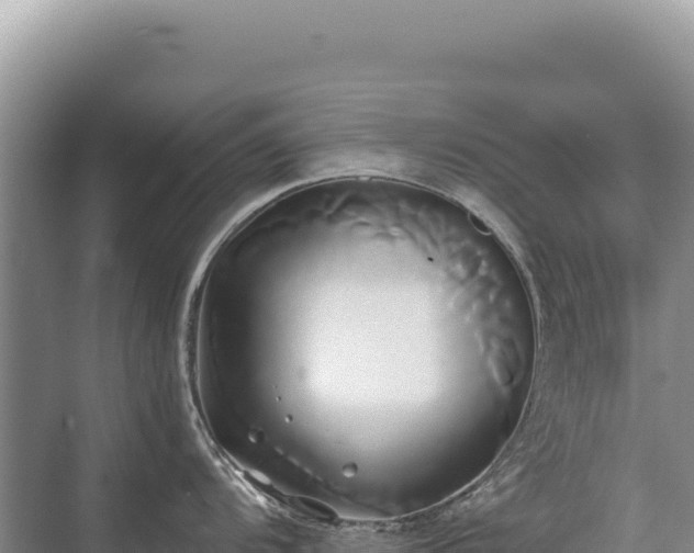 X0000071381104200606301803