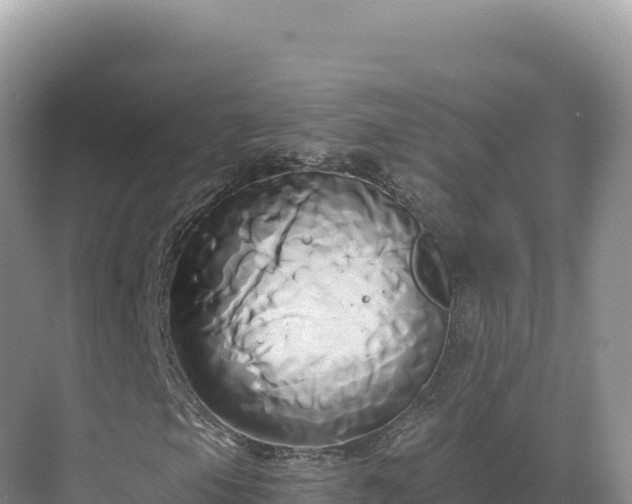 X0000071381105200606301802