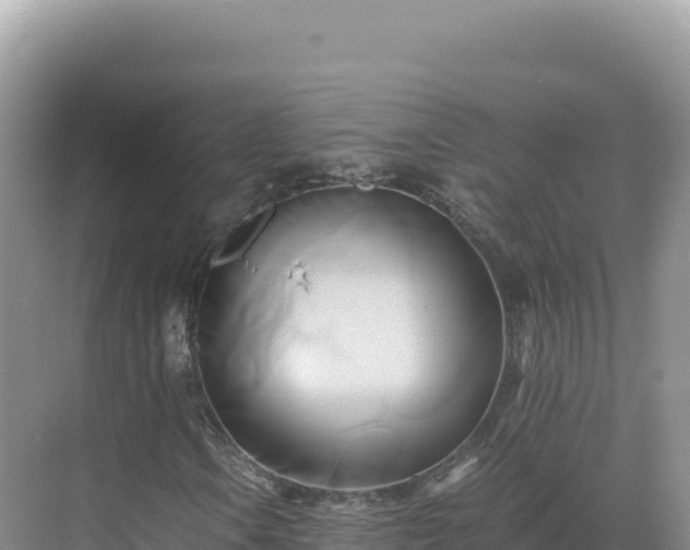 X0000071381106200606301802