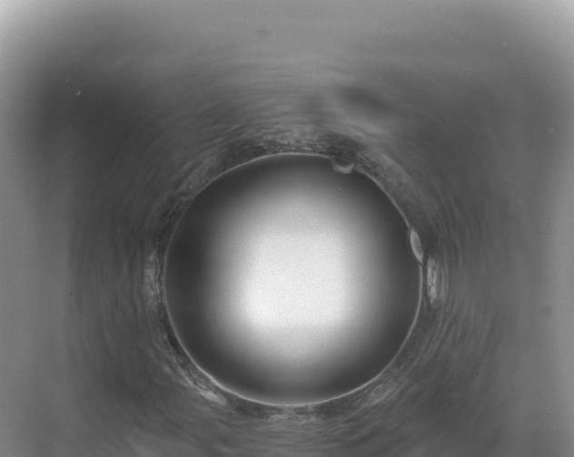 X0000071381107200606301802