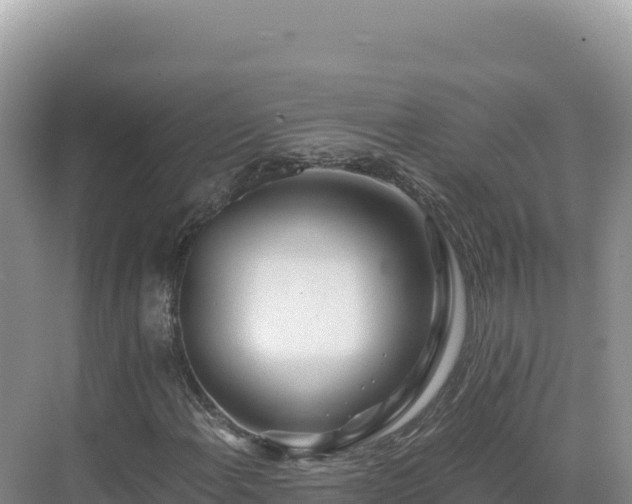 X0000071381108200606301802