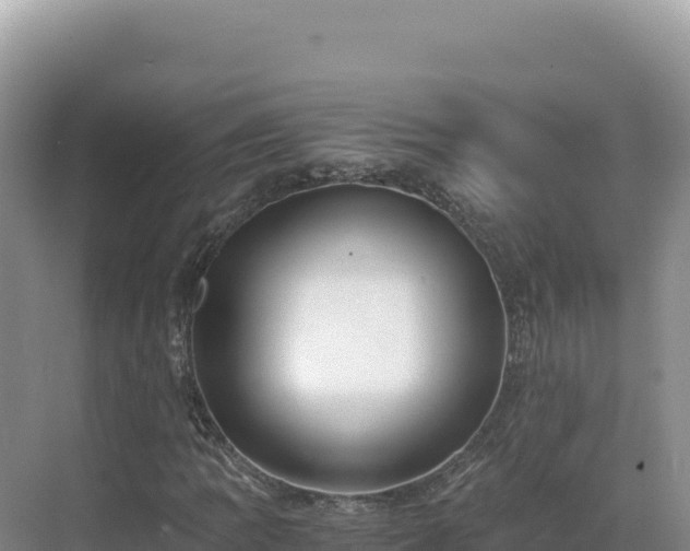 X0000071381109200606301802