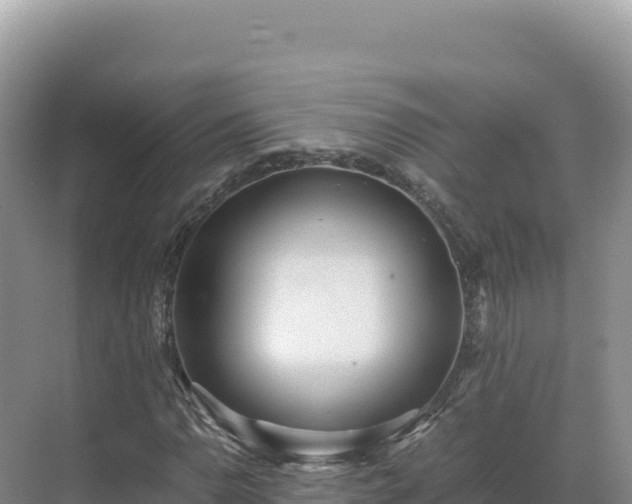 X0000071381110200606301802