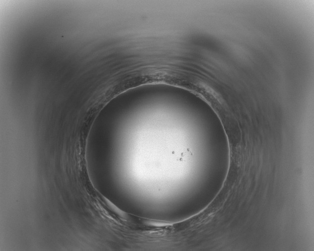 X0000071381111200606301802