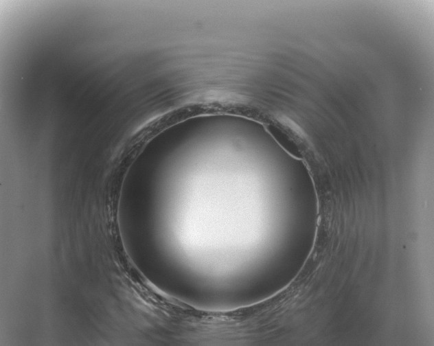 X0000071381112200606301802