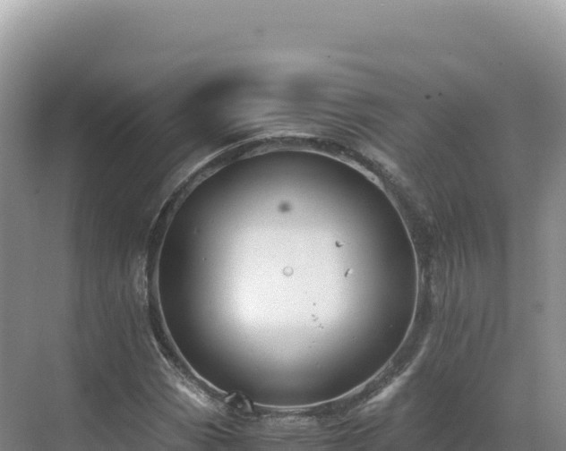 X0000071381113200606301802