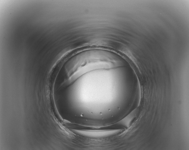 X0000071381115200606301802