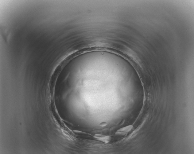 X0000071381117200606301803