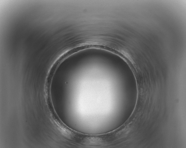 X0000071381119200606301803