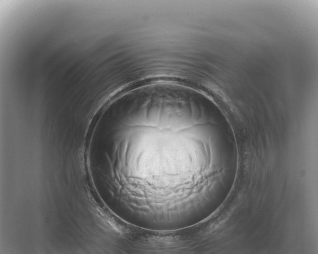 X0000071381121200606301803