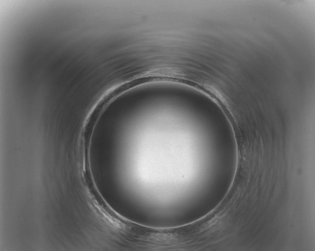 X0000071381123200606301803