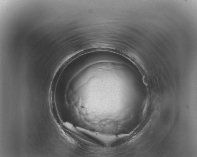 X0000071381125200606301803