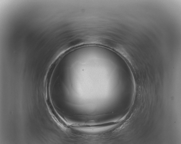 X0000071381127200606301803