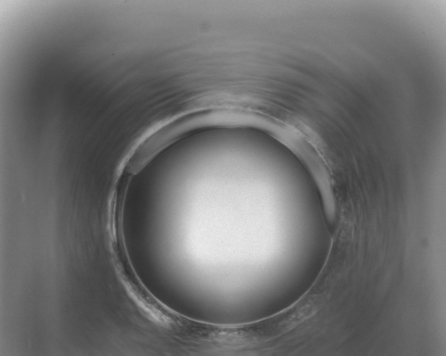 X0000071381128200606301803