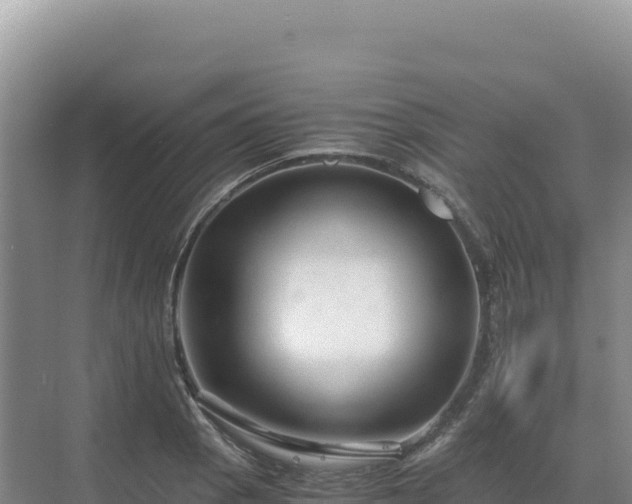 X0000071381129200606301803