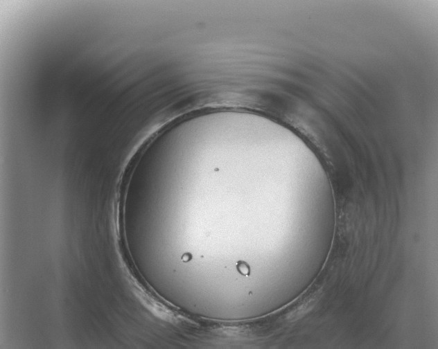 X0000071381130200606301803