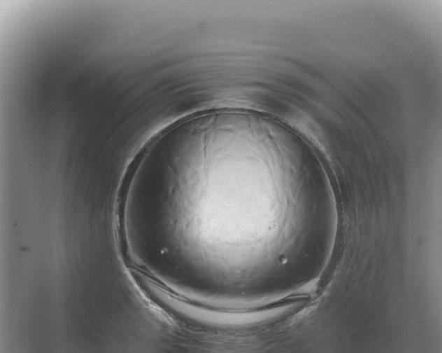 X0000071381133200606301803