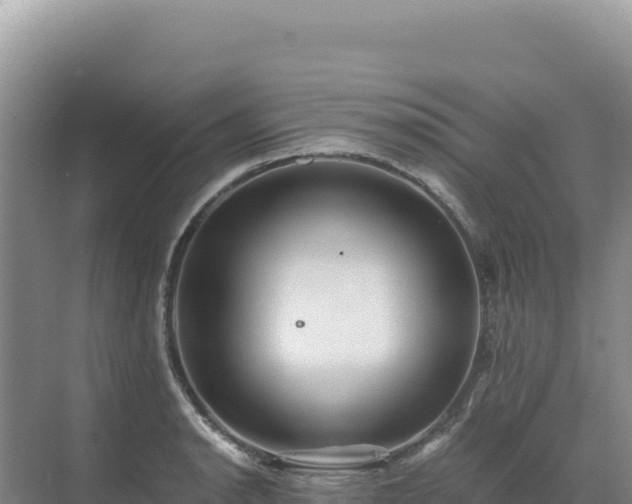 X0000071381134200606301803