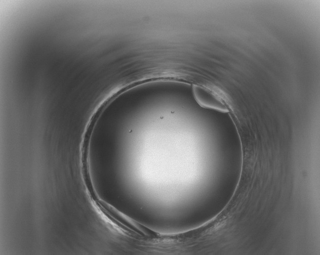 X0000071381135200606301803