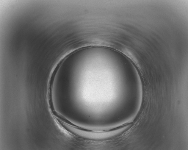 X0000071381136200606301803