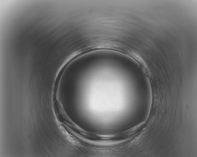 X0000071381138200606301803