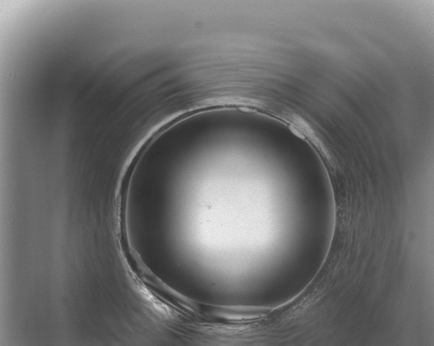 X0000071381140200606301803