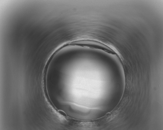 X0000071381142200606301803