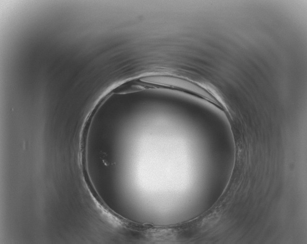 X0000071381143200606301803