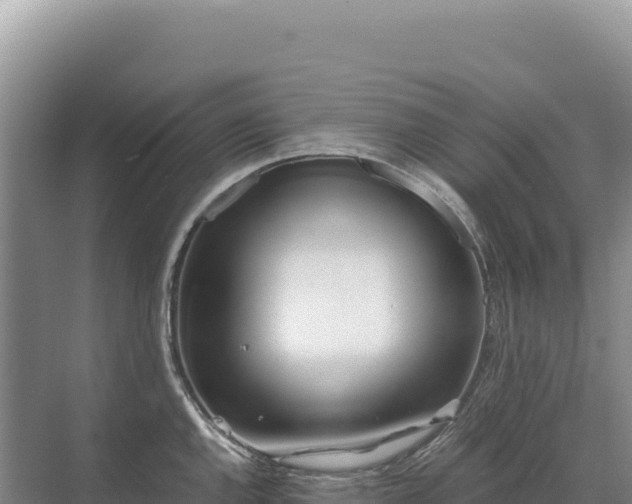 X0000071381144200606301803