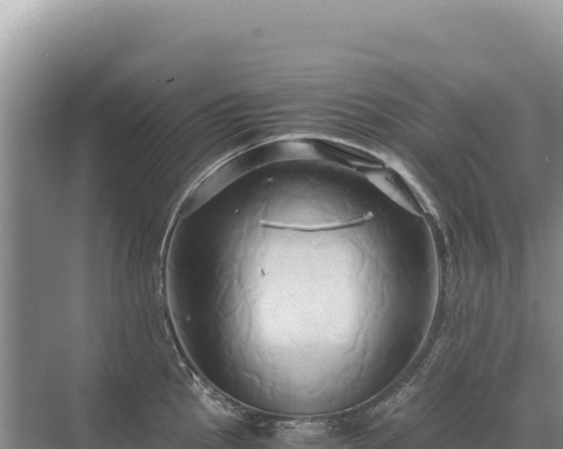 X0000071381145200606301803