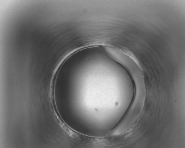 X0000071381148200606301803